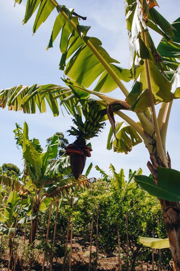 Hotel Vegano Bona Espero Alto Paraíso de Goiás Εξωτερικό φωτογραφία